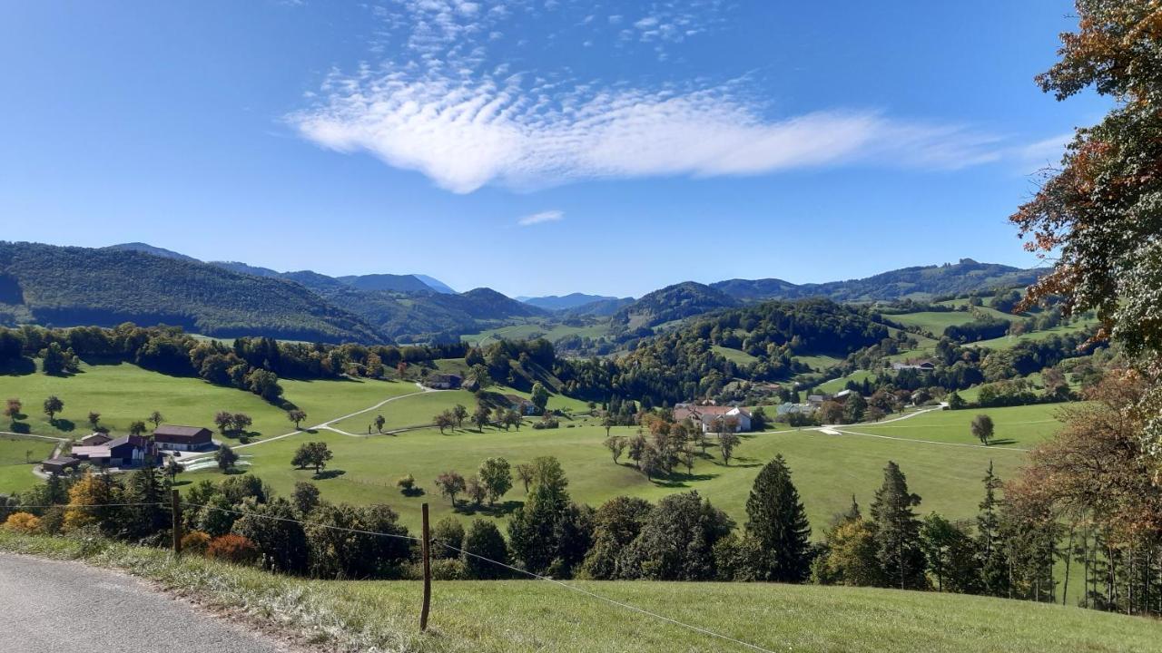 Apartment Auszeit Kirchberg an der Pielach المظهر الخارجي الصورة